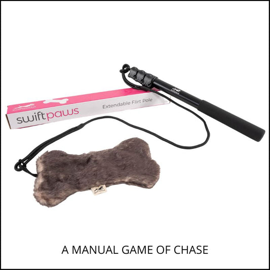 SwiftPaws Flirt Pole - The Ultimate Exercise Tool for High-Energy Pets