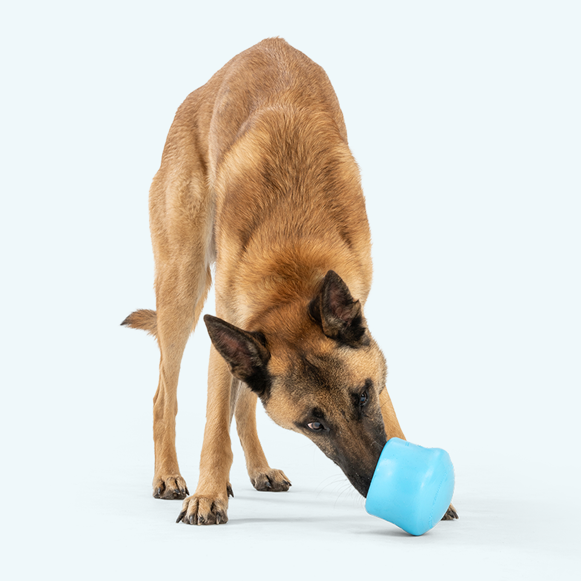 Engaging Puzzle Toy for Dogs - Toppl Toppl: The Ultimate Treat Dispenser