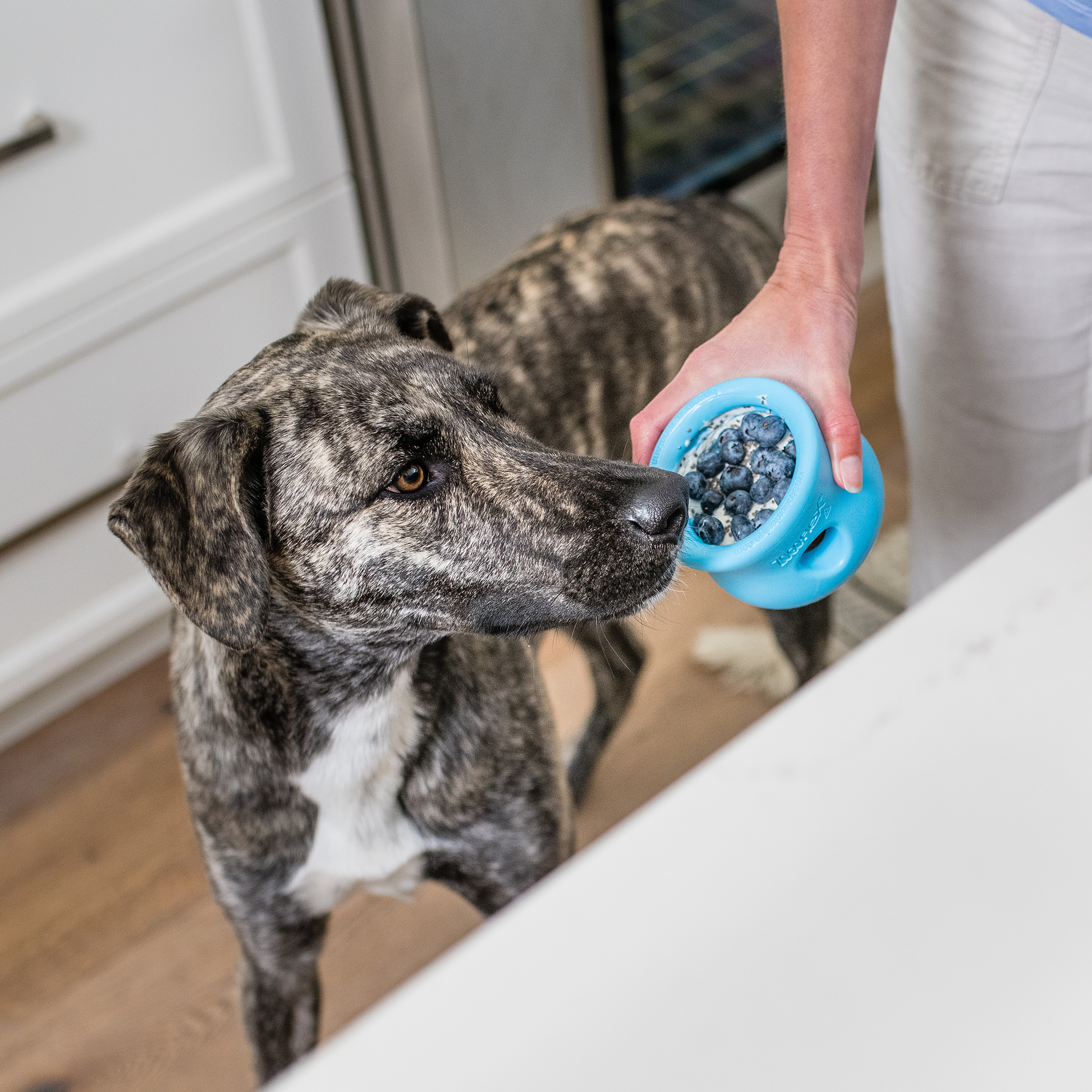Engaging Puzzle Toy for Dogs - Toppl Toppl: The Ultimate Treat Dispenser